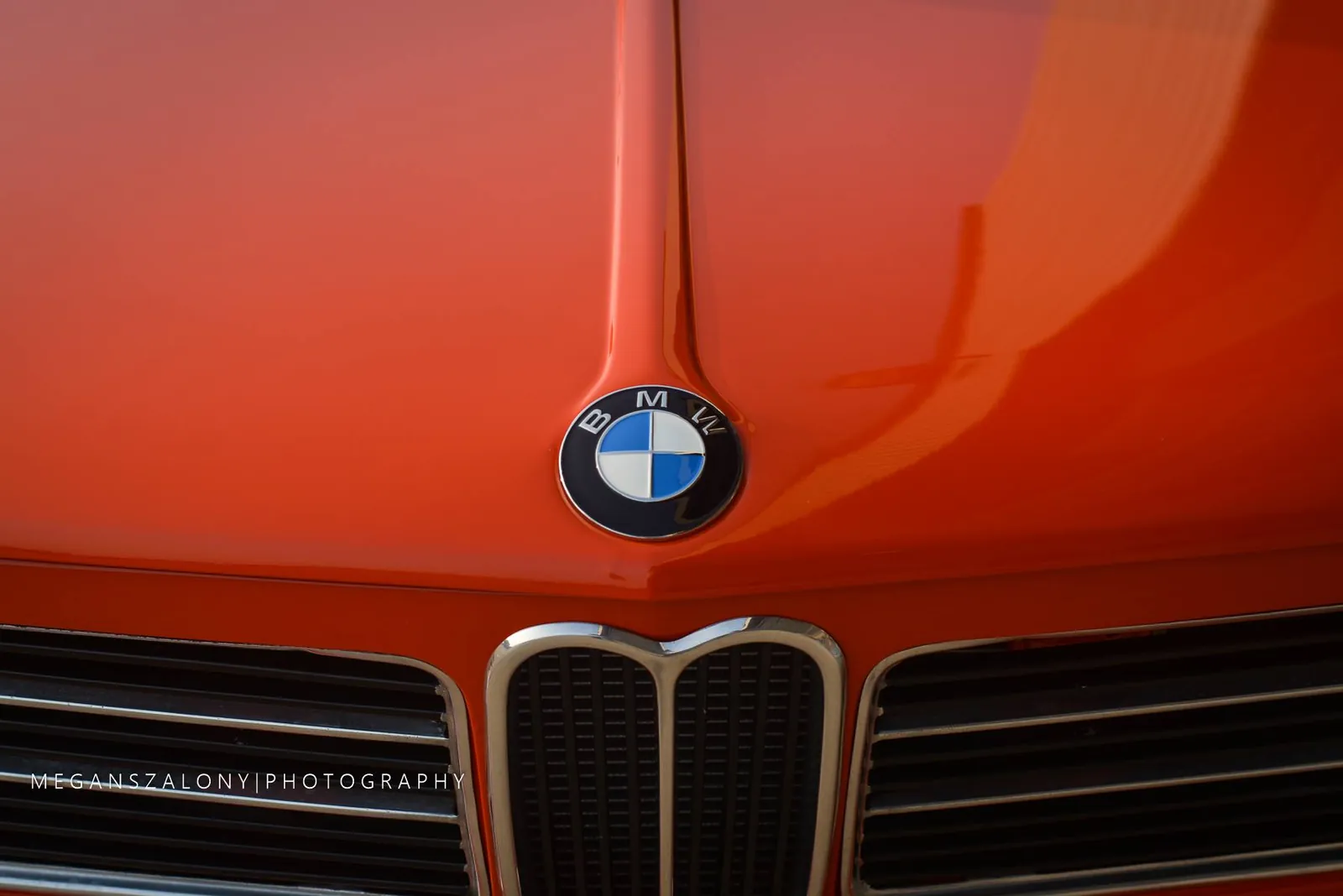 Hood roundel